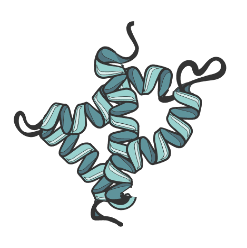 DESTABILIZATION-FunctionalProtein