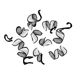 Degradation-ProteasonalDegradation